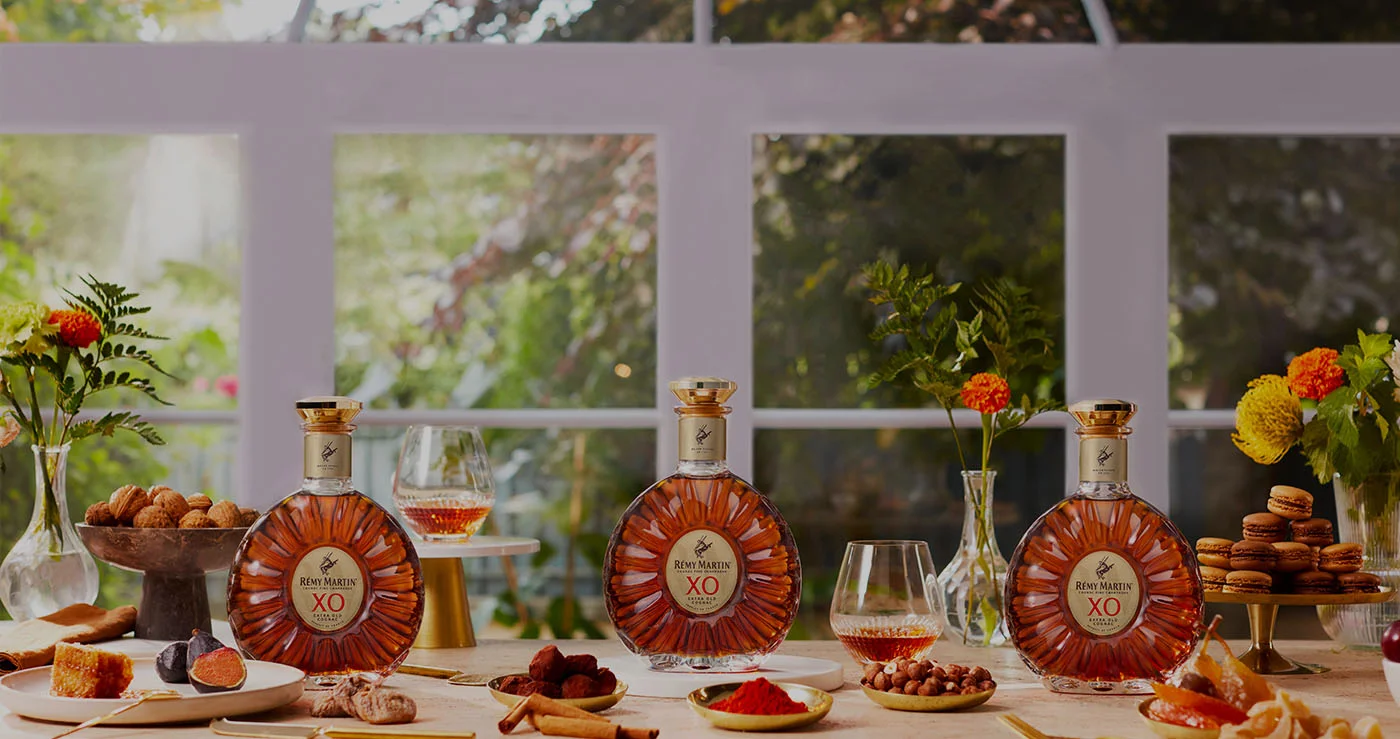 RÉMY MARTIN XO Opulence revealed food pairing table