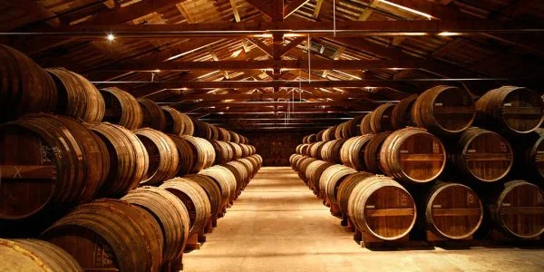 参观 RÉMY MARTIN人头马酒庄